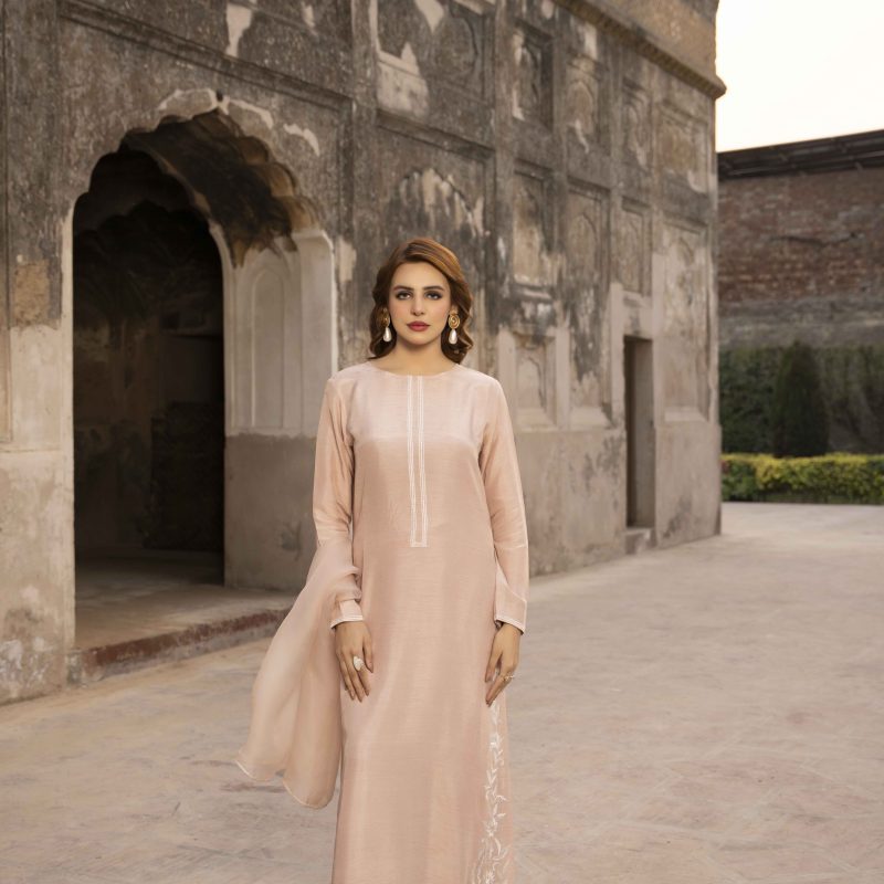 Blush Reverie – The Soft Elegance